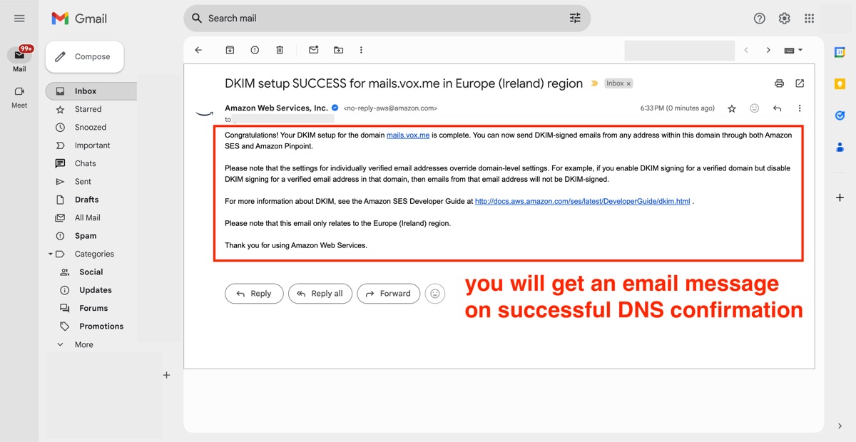 dns